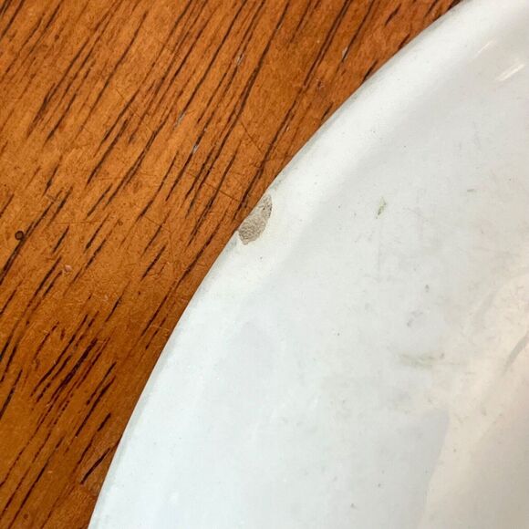 BLUE RIDGE Southern Potteries 9 1/2” Plate GREENBRIER PATTERN 1940s USA - Picture 8 of 10